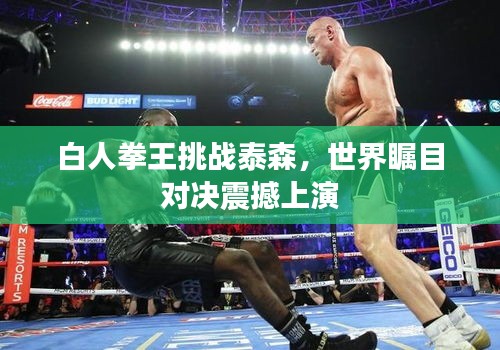 白人拳王挑战泰森，世界瞩目对决震撼上演
