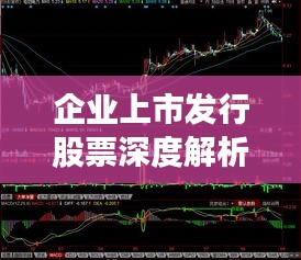企业上市发行股票深度解析，关键要素与影响分析