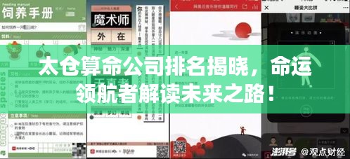 太仓算命公司排名揭晓，命运领航者解读未来之路！