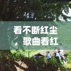看不断红尘，歌曲看红尘 