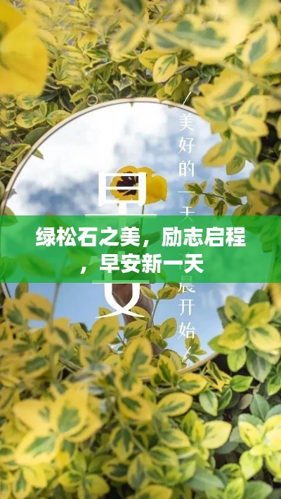 空谷幽兰