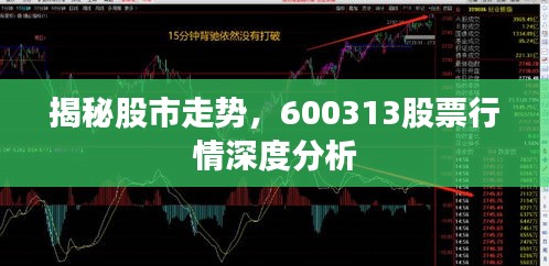 揭秘股市走势，600313股票行情深度分析
