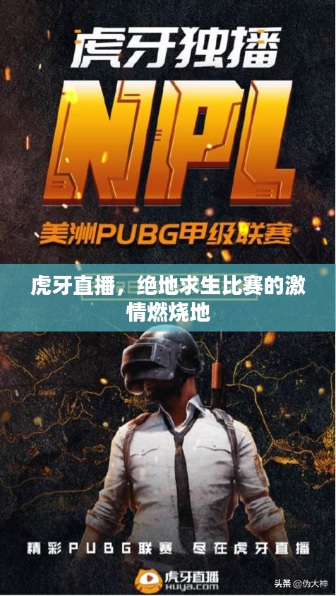 虎牙直播，绝地求生比赛的激情燃烧地