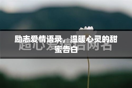 励志爱情语录，温暖心灵的甜蜜告白