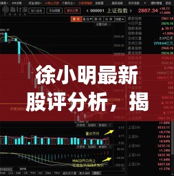 徐小明最新股评分析，揭秘股市走势，专业解读今日行情