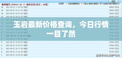 瞋目张胆