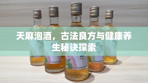 天麻泡酒，古法良方与健康养生秘诀探索