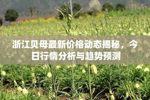 飞黄腾达