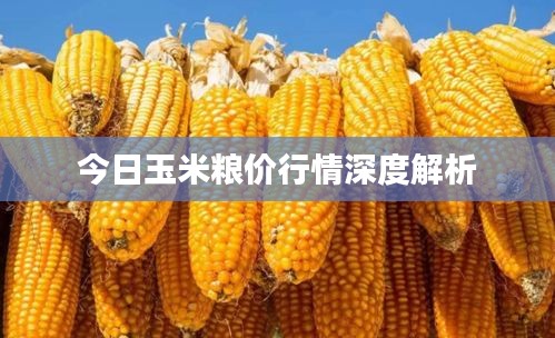 长命富贵