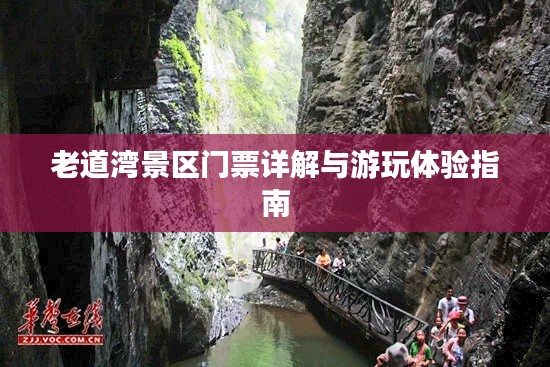 望其项背