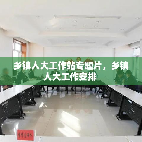 乡镇人大工作站专题片，乡镇人大工作安排 