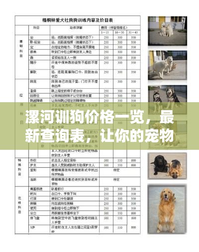 漯河训狗价格一览，最新查询表，让你的宠物训练预算一目了然