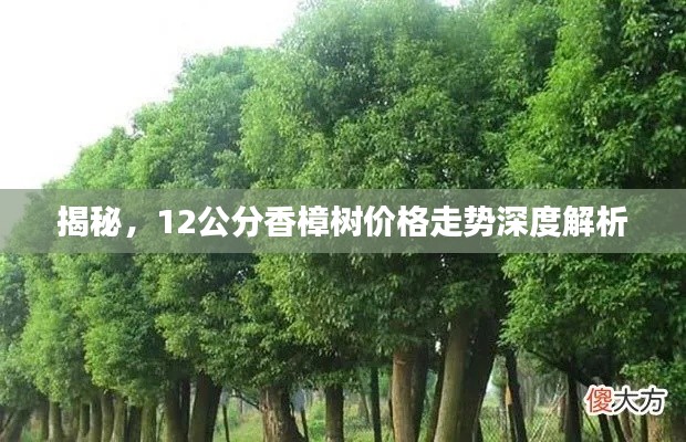 步履如飞