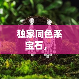 独家同色系宝石， 