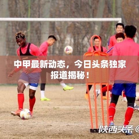 飞扬跋扈