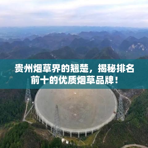 飞潜动植