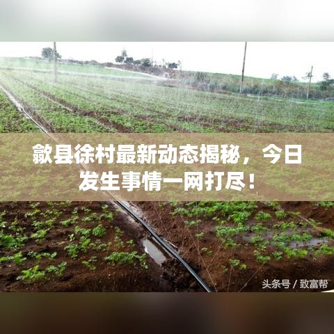 歙县徐村最新动态揭秘，今日发生事情一网打尽！