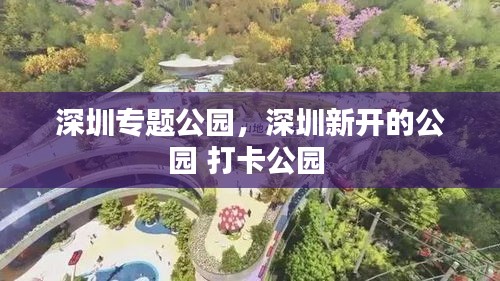 见缝就钻