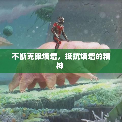 不断克服熵增，抵抗熵增的精神 