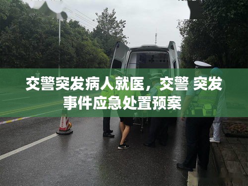 交警突发病人就医，交警 突发事件应急处置预案 