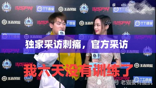 雅人深致
