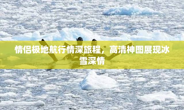 情侣极地航行情深旅程，高清神图展现冰雪深情