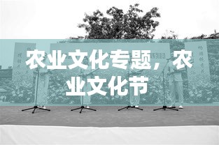 贵阴贱璧
