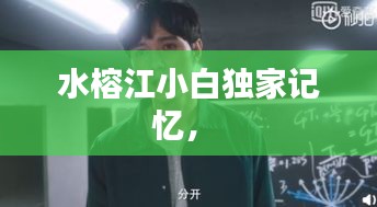 事必躬亲