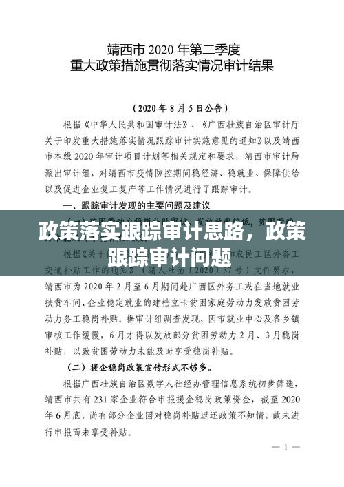 政策落实跟踪审计思路，政策跟踪审计问题 
