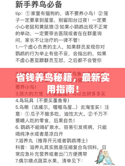 省钱养鸟秘籍，最新实用指南！