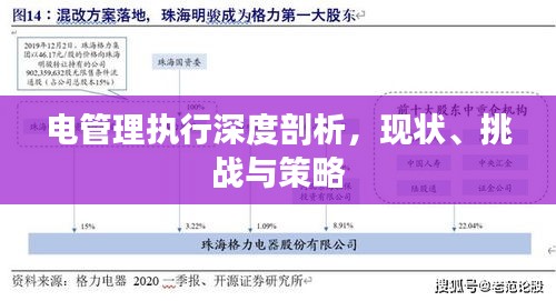 电管理执行深度剖析，现状、挑战与策略