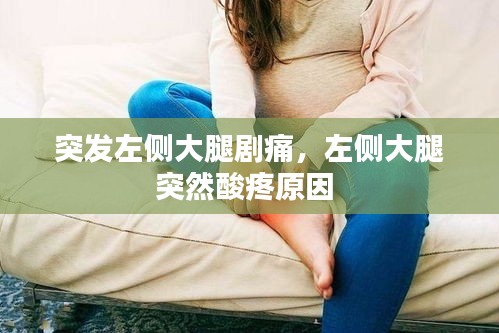 还醇返朴
