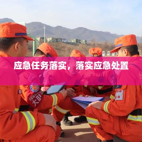 应急任务落实，落实应急处置 