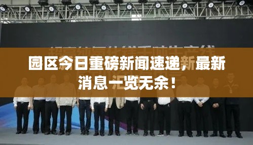 夸夸其谈