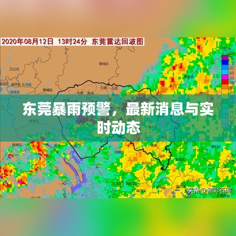 东莞暴雨预警，最新消息与实时动态
