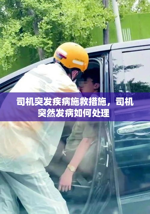 企业动态 第8页