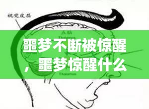 降贵纡尊