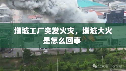 生张熟魏