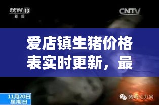 爱店镇生猪价格表实时更新，最新行情动态一网打尽！