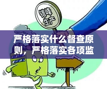 严格落实什么督查原则，严格落实各项监管要求 