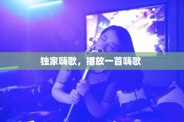 独家嗨歌，播放一首嗨歌 