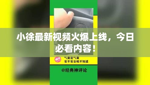 鸟覆危巢