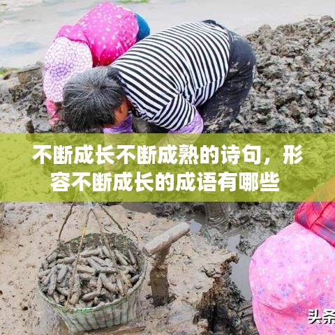 不断成长不断成熟的诗句，形容不断成长的成语有哪些 