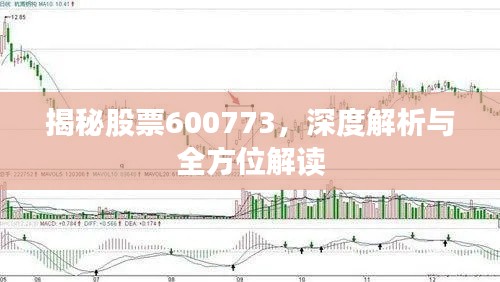 物稀为贵