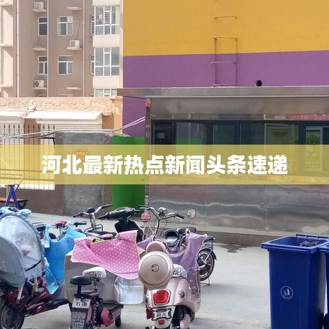 弃文就武