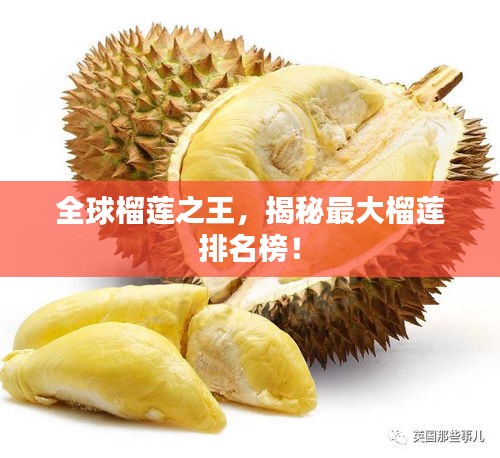 企业动态 第4页