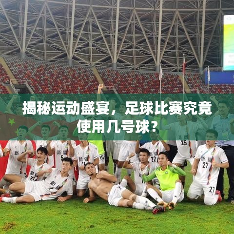 揭秘运动盛宴，足球比赛究竟使用几号球？