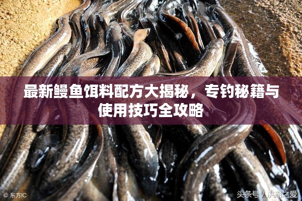最新鳗鱼饵料配方大揭秘，专钓秘籍与使用技巧全攻略