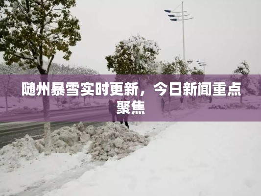 随州暴雪实时更新，今日新闻重点聚焦
