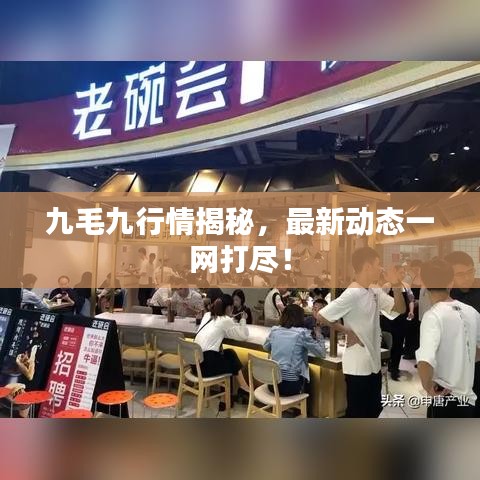 九毛九行情揭秘，最新动态一网打尽！